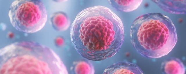 Ученые Института Вейцмана вырастили стволовые клетки человека на ранней стадии