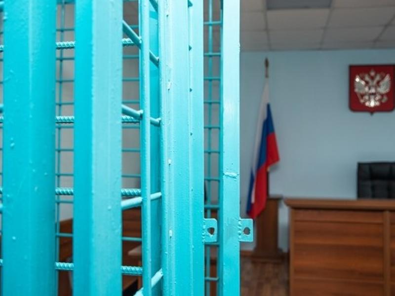 Забайкальская предпринимательница, обвиняемая в контрабанде леса, раскаялась в суде