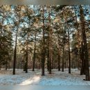 Прогноз погоды на 19 января в Забайкальском крае