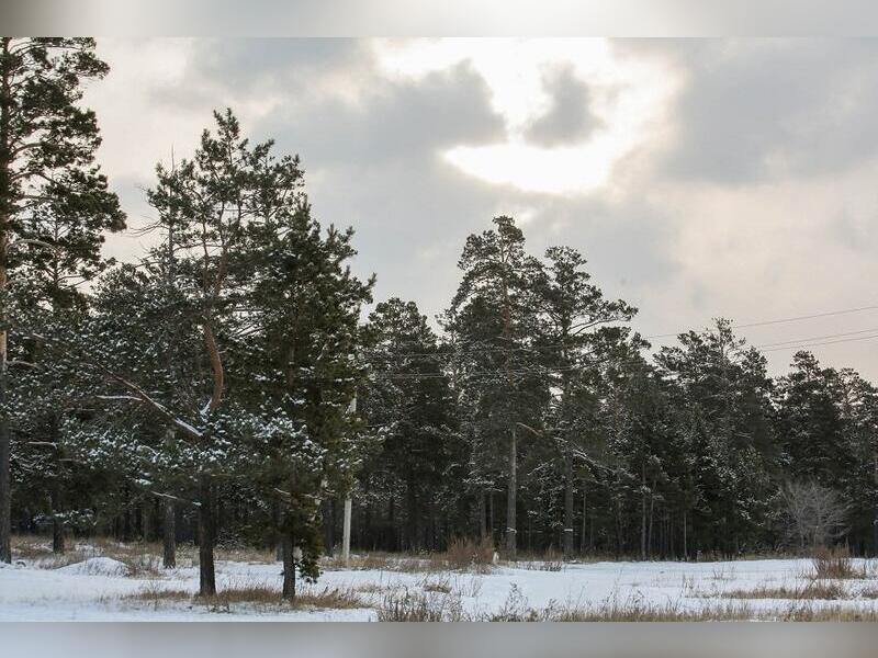 13 января в Забайкальском крае ожидается небольшой снег