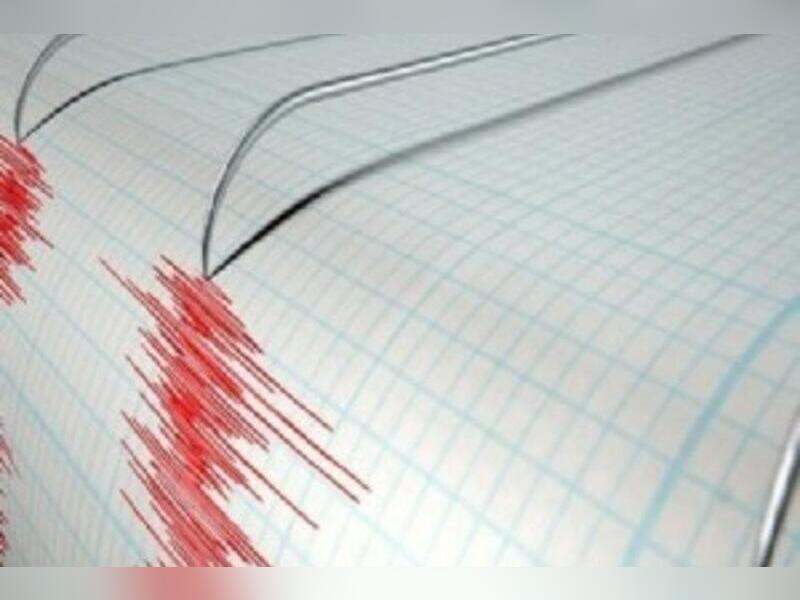 В Забайкалье зафиксировали землетрясение 8 января