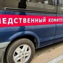 Глава СК РФ поручил подготовить идеи, как обезопасить людей от бродячих собак
