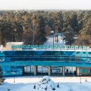 Мэрия Новосибирска остановила голосование за талисман «Новогодней столицы России»