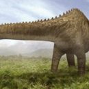 В костях динозавра впервые выявили признаки респираторной инфекции