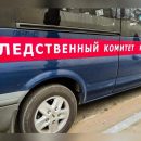 Следком проверит информацию СМИ о нападении собаки на ребёнка