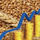 Россиян предупредили о значительном росте цен на хлеб