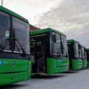 В Екатеринбурге не нашлось желающих возить пассажиров от Кольцово до станции метро «Ботаническая»